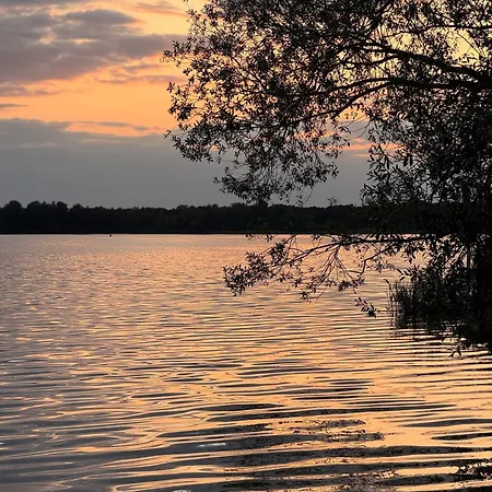 La Pura Vida - Glamping Tiny Camping