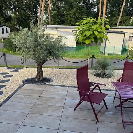 La Pura Vida - Glamping Tiny Camping *