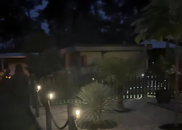 Camping La Pura Vida - Glamping Tiny