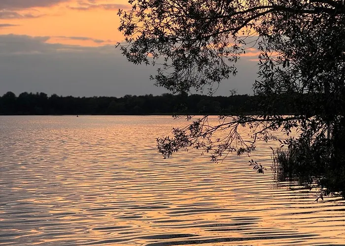 La Pura Vida - Glamping Tiny Camping