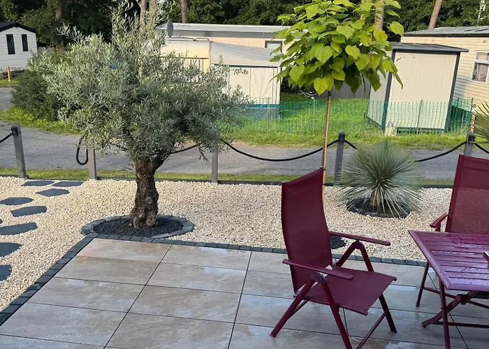 Camping La Pura Vida - Glamping Tiny