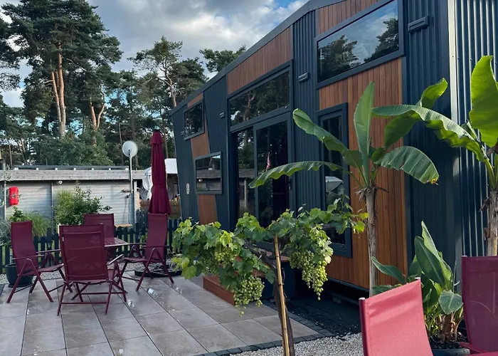 La Pura Vida - Glamping Tiny