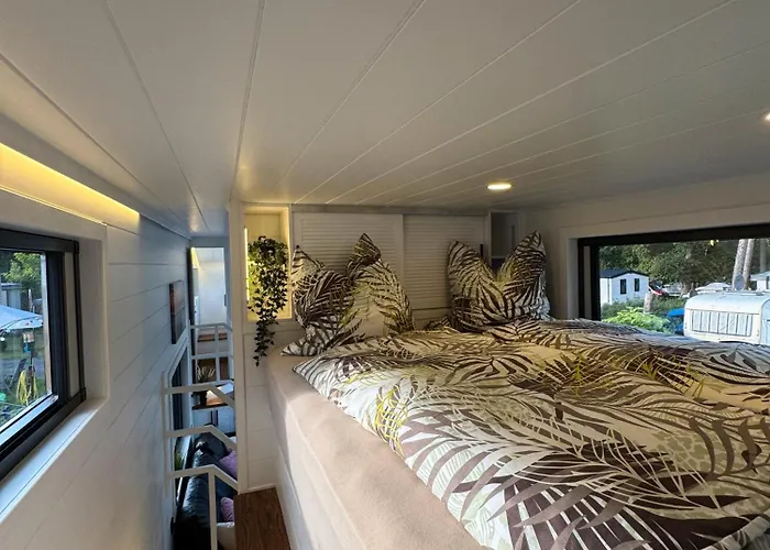 La Pura Vida - Glamping Tiny Camping